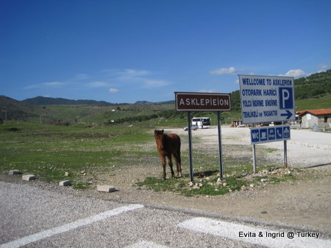 IMG_4798.JPG IMG_4798.JPG