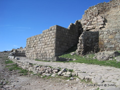 IMG_4809.JPG IMG_4809.JPG