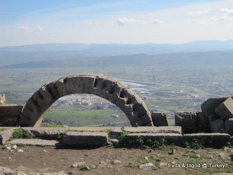 IMG_4817.JPG IMG_4817.JPG