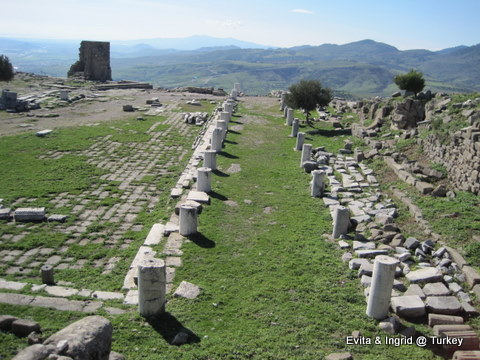 IMG_4819.JPG IMG_4819.JPG