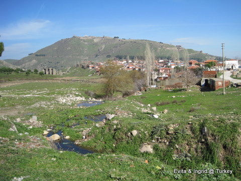 IMG_4796.JPG IMG_4796.JPG