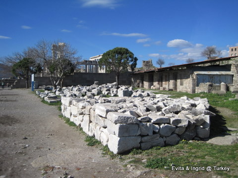 IMG_4825.JPG IMG_4825.JPG