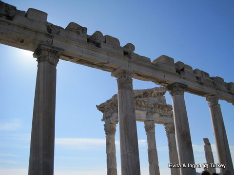 IMG_4890.JPG IMG_4890.JPG