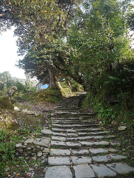 P1040001.JPG
