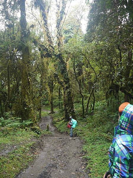 P1040099.JPG