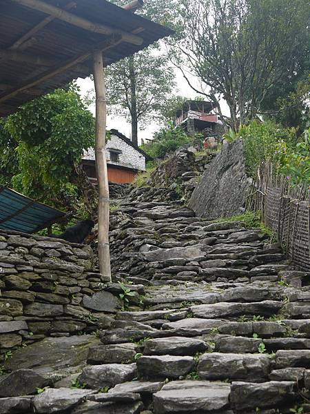 P1040154.JPG
