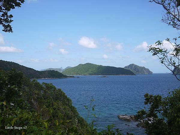 P1050401.jpg