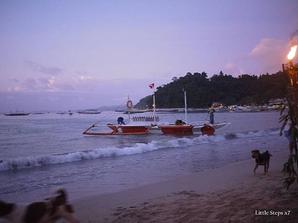 P1050555.jpg