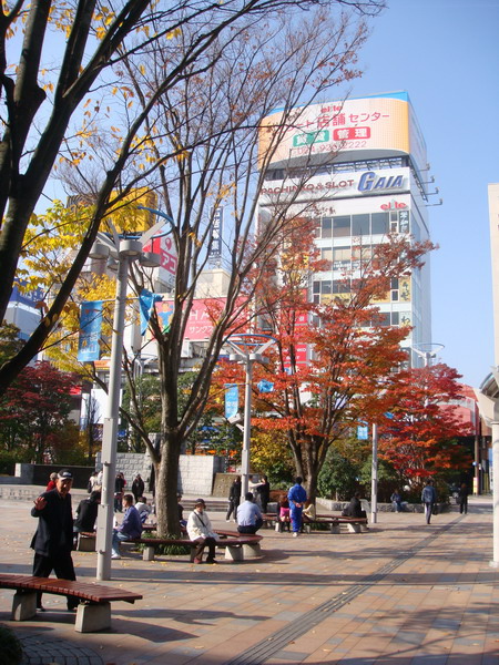 2009.11 272.jpg 2009.11 272.jpg