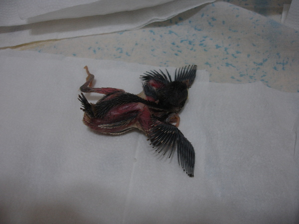 DSC09422.JPG DSC09422.JPG