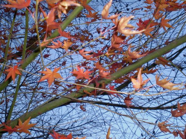 PC250011.JPG PC250011.JPG