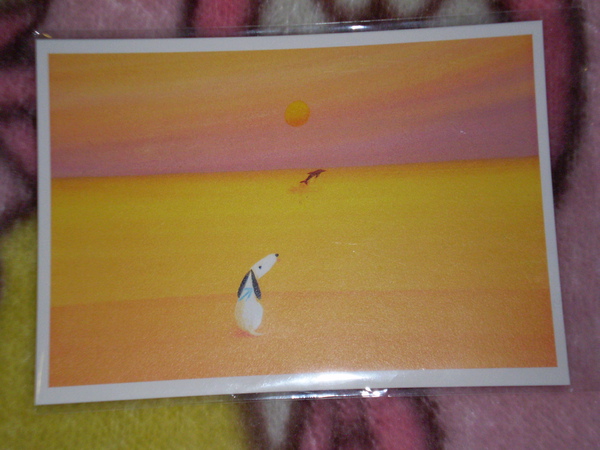 P3070119.JPG P3070119.JPG