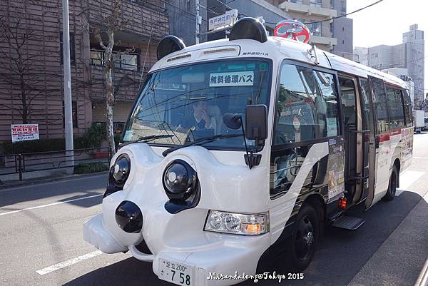 真的是"panda bus"