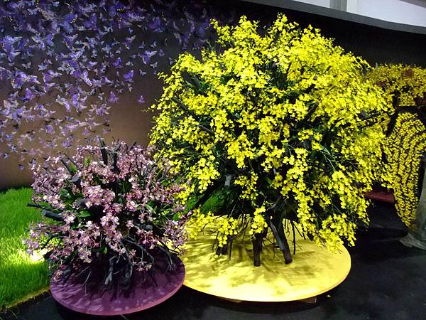 blog 花博　圓山　爭艷館　花舞未來　文心蘭09.JPG