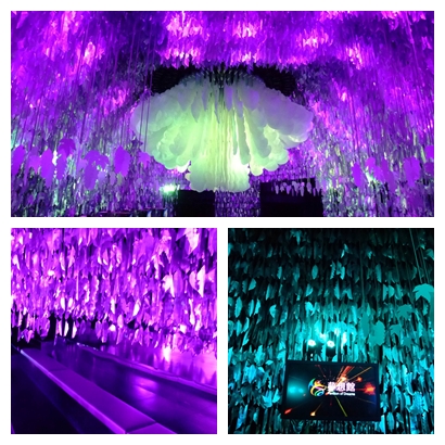 1000127花博 夢想館01.jpg 1000127花博 夢想館01.jpg