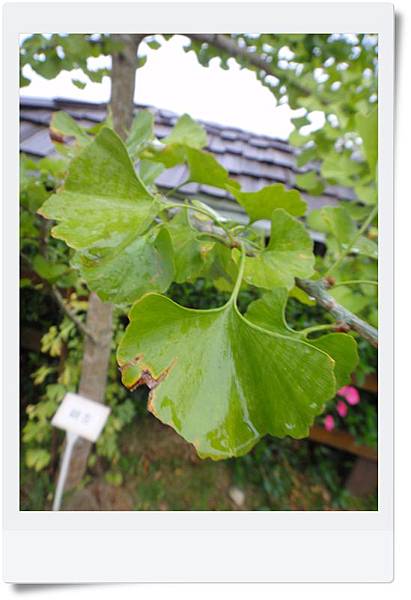 DSC04305.JPG DSC04305.JPG