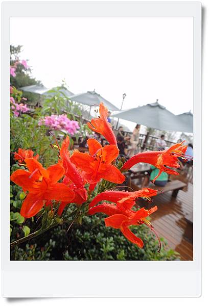 DSC04296.JPG DSC04296.JPG