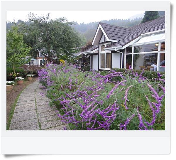 DSC04303.JPG DSC04303.JPG