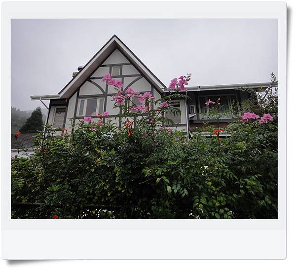 DSC04356.JPG DSC04356.JPG