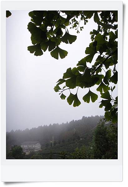 DSC04362.JPG DSC04362.JPG