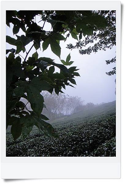 DSC04399.JPG DSC04399.JPG