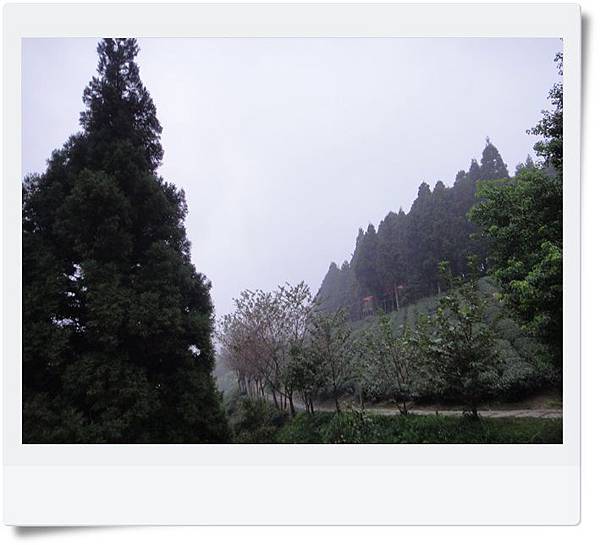 DSC04380.JPG DSC04380.JPG