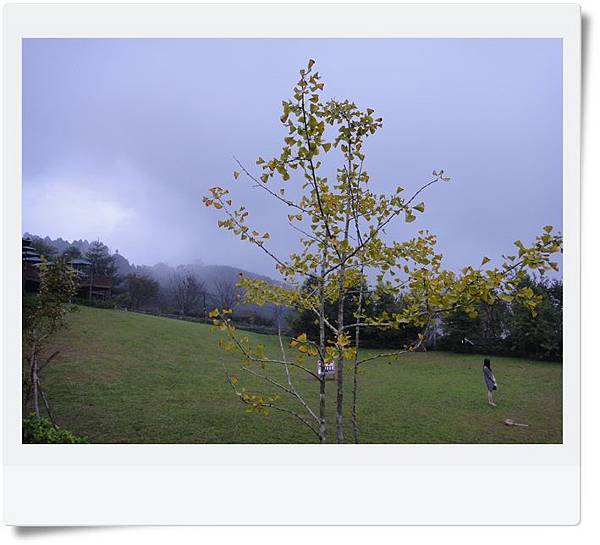 DSC04372.JPG DSC04372.JPG