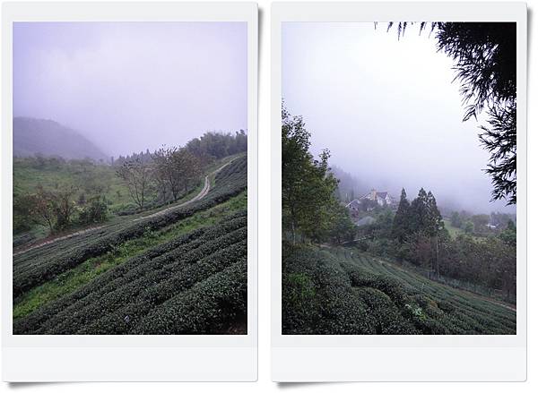 DSC04411-tile.jpg DSC04411-tile.jpg