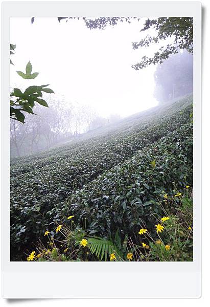 DSC04396.JPG DSC04396.JPG