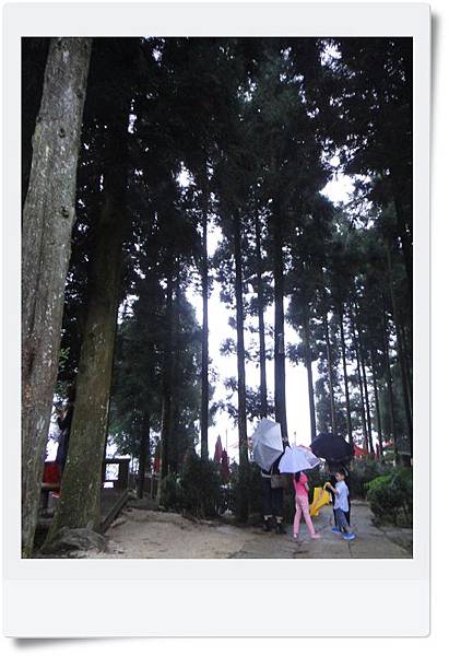 DSC04406.JPG DSC04406.JPG