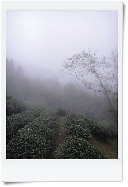 DSC04385.JPG DSC04385.JPG