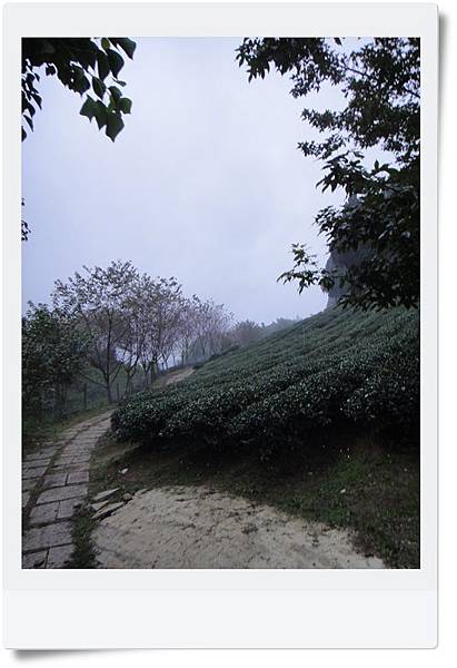 DSC04383.JPG DSC04383.JPG