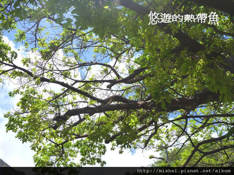 圖片6.jpg 圖片6.jpg