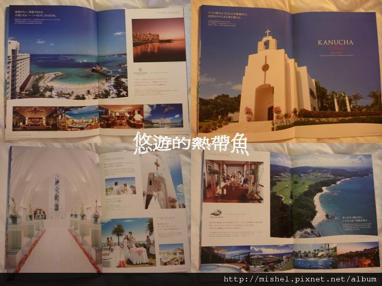 圖片35.jpg 圖片35.jpg