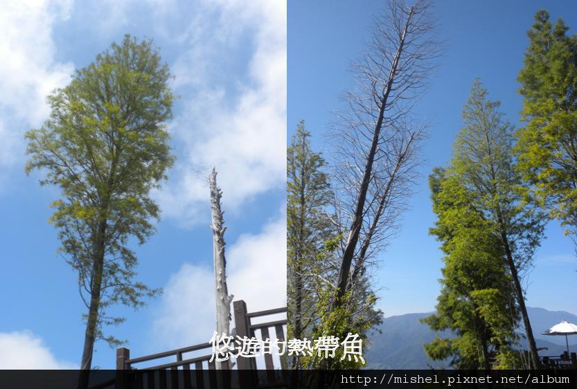 圖片3.jpg 圖片3.jpg