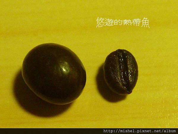 投影片35 投影片35