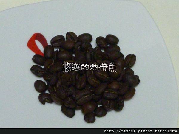 投影片16 投影片16