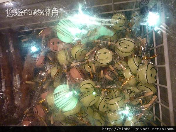 投影片30 投影片30