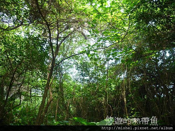 投影片36.JPG 投影片36.JPG