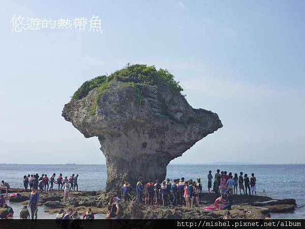 投影片11.JPG 投影片11.JPG