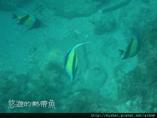 投影片25.JPG 投影片25.JPG