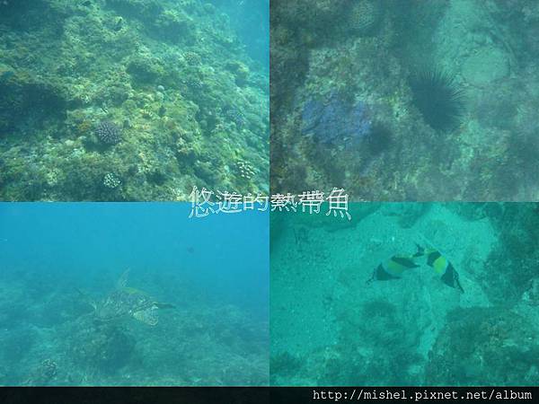 投影片26.JPG 投影片26.JPG