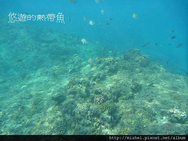 投影片29.JPG 投影片29.JPG