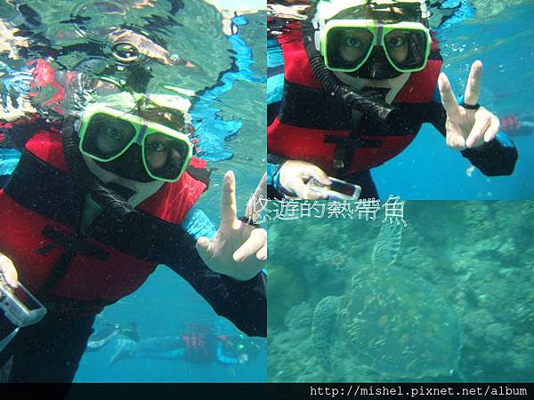 投影片35.JPG 投影片35.JPG