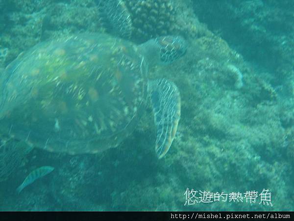 投影片36.JPG 投影片36.JPG