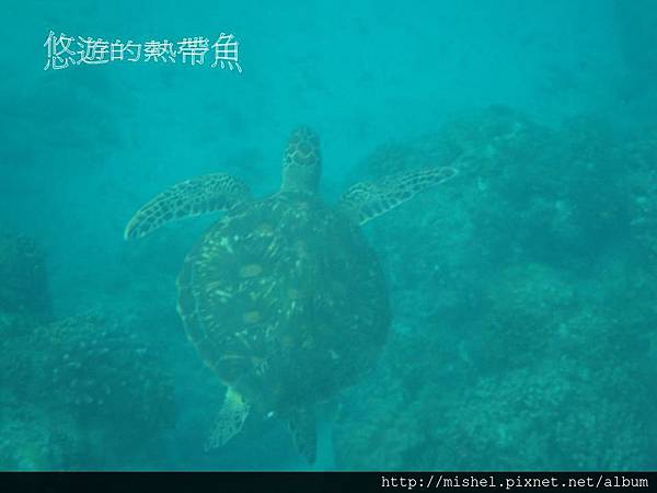 投影片37.JPG 投影片37.JPG