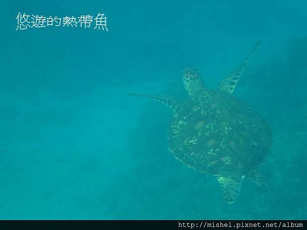 投影片38.JPG 投影片38.JPG