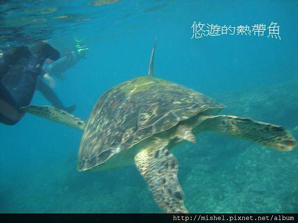 投影片40.JPG 投影片40.JPG