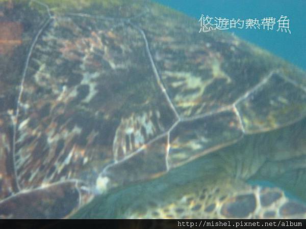 投影片39.JPG 投影片39.JPG