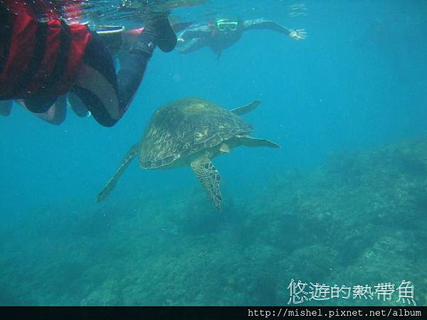 投影片41.JPG 投影片41.JPG